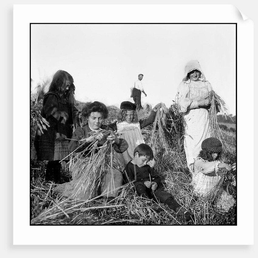 Harvesting, Isle of Man by George Bellett Cowen